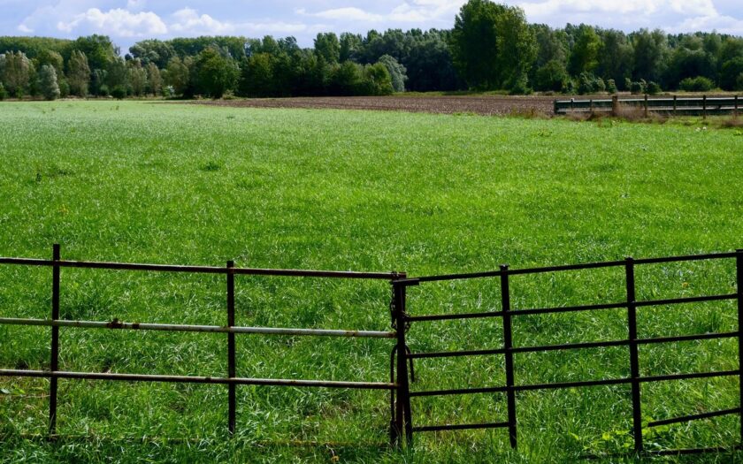 Alles wat je moet weten over het plaatsen van een schutting in je tuin